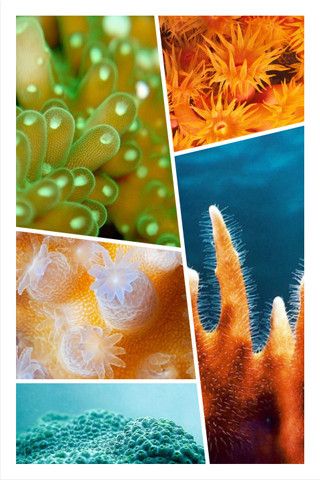 mzl.ixmeqmof.320x480-75.jpg